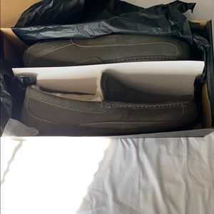 Uggs Men Ascot Brand new